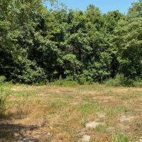 LA - Richland 80 acres - images 2
