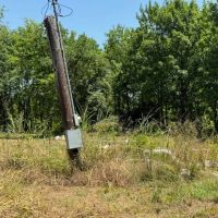 LA - Richland 80 acres - images 3