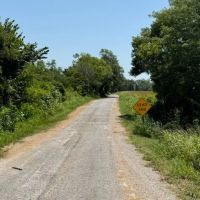 LA - Richland 80 acres - images 5
