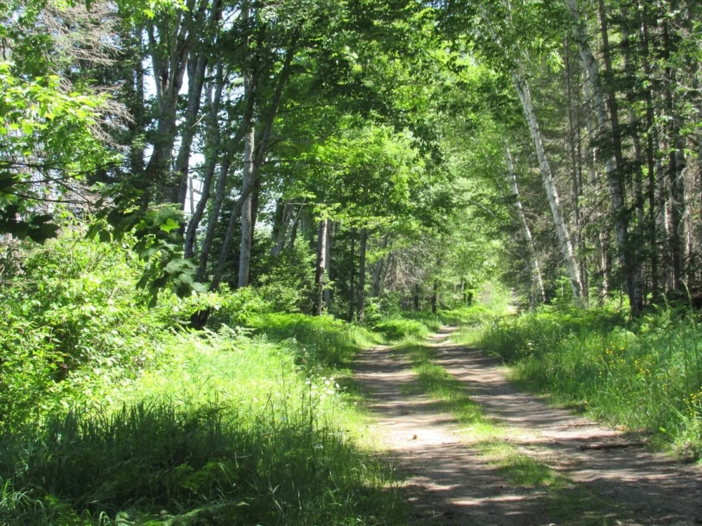 Beautiful 240 - Acre Parcel 50148315 featured image