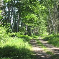 Beautiful 240 - Acre Parcel 50148315