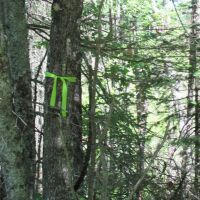 Beautiful 240 - Acre Parcel 50148315 images 2