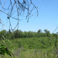 Beautiful 240 - Acre Parcel 50148315 images 3