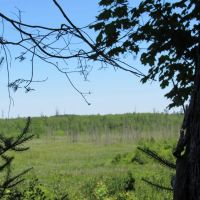 Beautiful 240 - Acre Parcel 50148315 images 4