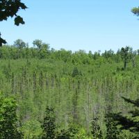 Beautiful 240 - Acre Parcel 50148315 images 5
