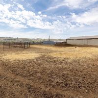 Butterfield Farm amp Livestock images 4