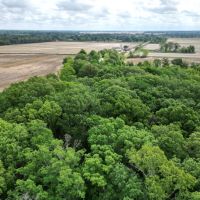 LA _ West Carroll 50 acres -