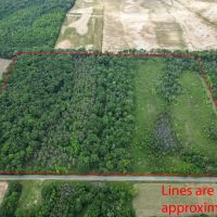 LA _ West Carroll 50 acres - images 2