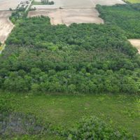 LA _ West Carroll 50 acres - images 3