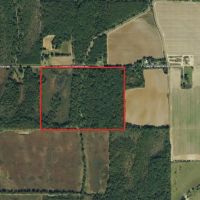 LA _ West Carroll 50 acres - images 4