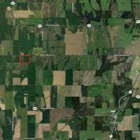 LA _ West Carroll 50 acres - images 5