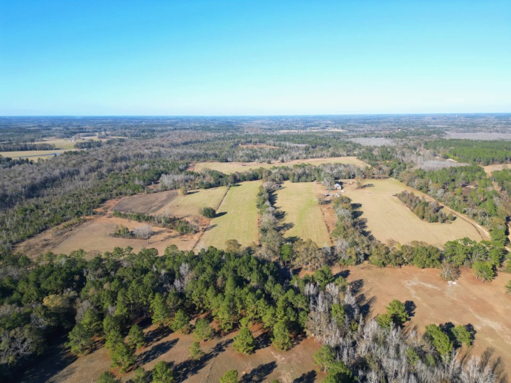 Secluded 240-Acre Cattle Farm in NE Holmes County FL with Creek Hunting Opportunities Nearby Amenities featured image