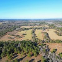 Secluded 240-Acre Cattle Farm in NE Holmes County FL with Creek Hunting Opportunities Nearby Amenities