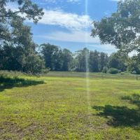Secluded 240-Acre Cattle Farm in NE Holmes County FL with Creek Hunting Opportunities Nearby Amenities images 3