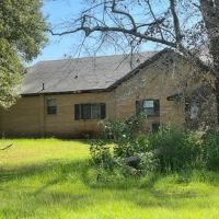Secluded 240-Acre Cattle Farm in NE Holmes County FL with Creek Hunting Opportunities Nearby Amenities images 4