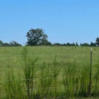 Secluded 240-Acre Cattle Farm in NE Holmes County FL with Creek Hunting Opportunities Nearby Amenities images 5