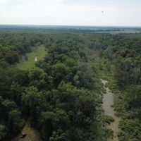 LA - Tensas 277 acres - images 2