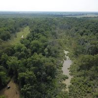 LA - Tensas 277 acres - images 3