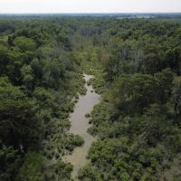 LA - Tensas 277 acres - images 4