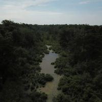 LA - Tensas 277 acres - images 5