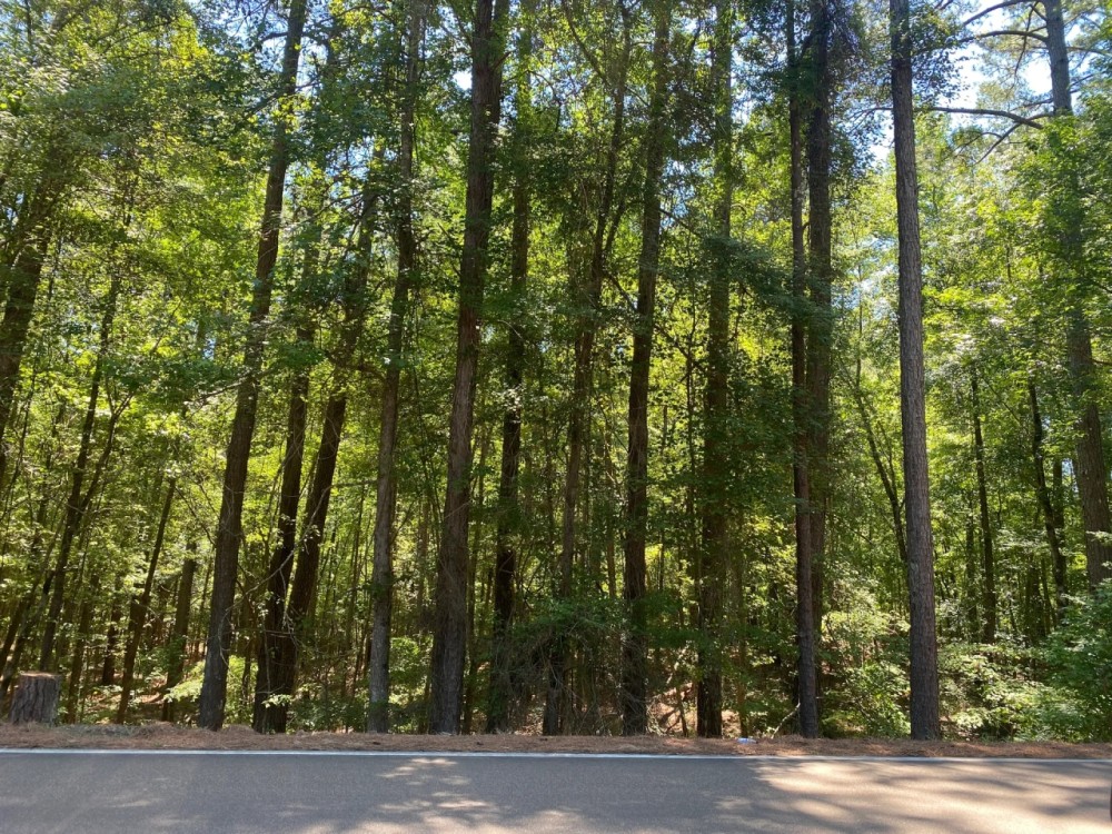 MS - Montgomery 66 acres - featured image