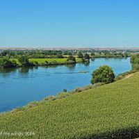 12,000 acres of Payette River WMA for hunting Duck in Payette, ID
