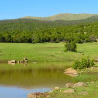 Archuleta Ranch
