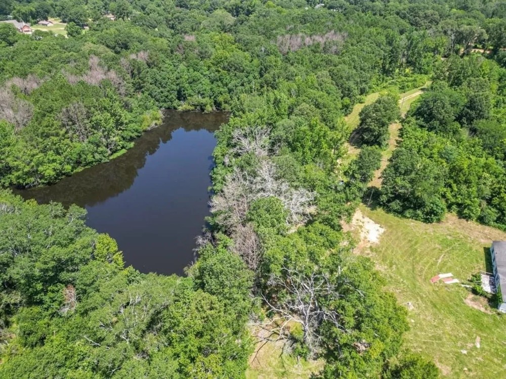 Land for Sale in McComb MS featured image
