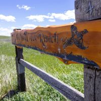 Little Dog Creek Ranch images 2