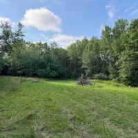 17 acres Hunting Land and Recreational Land with Building Lot in Clarksville NY Wolf Creek Rd images 1