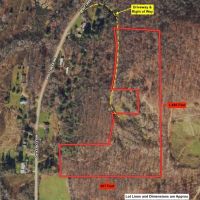 17 acres Hunting Land and Recreational Land with Building Lot in Clarksville NY Wolf Creek Rd images 2
