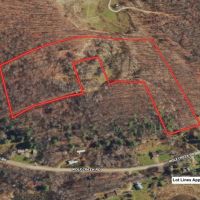 17 acres Hunting Land and Recreational Land with Building Lot in Clarksville NY Wolf Creek Rd images 3