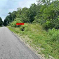 17 acres Hunting Land and Recreational Land with Building Lot in Clarksville NY Wolf Creek Rd images 4