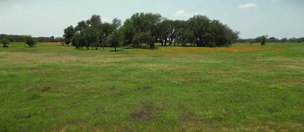 SOUTHWINDS RANCH 100 ACRES featured image