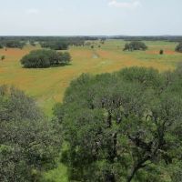 SOUTHWINDS RANCH 100 ACRES images 3