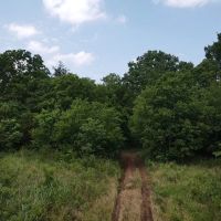 000 CR 36720 Arthur City TX 75411 images 4