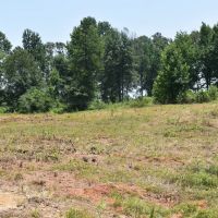 Springhill N images 2