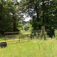 Springhill N images 3