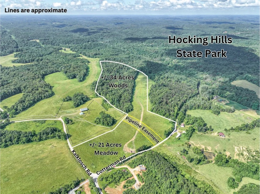 Cotterman Rd - 55 acres - Hocking County featured image
