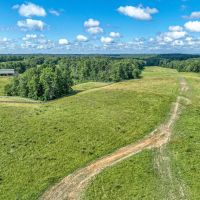 Cotterman Rd - 55 acres - Hocking County images 5