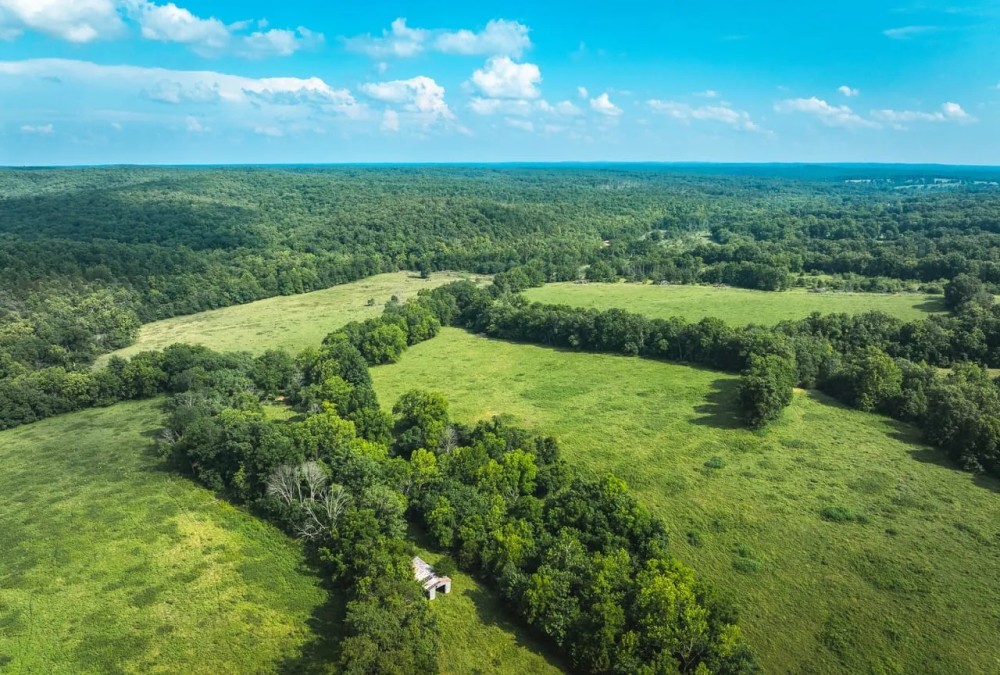 Alibi Springs Ranch featured image