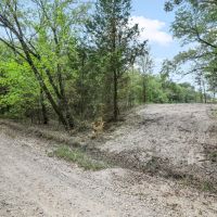 43 Acres of Privacy images 2