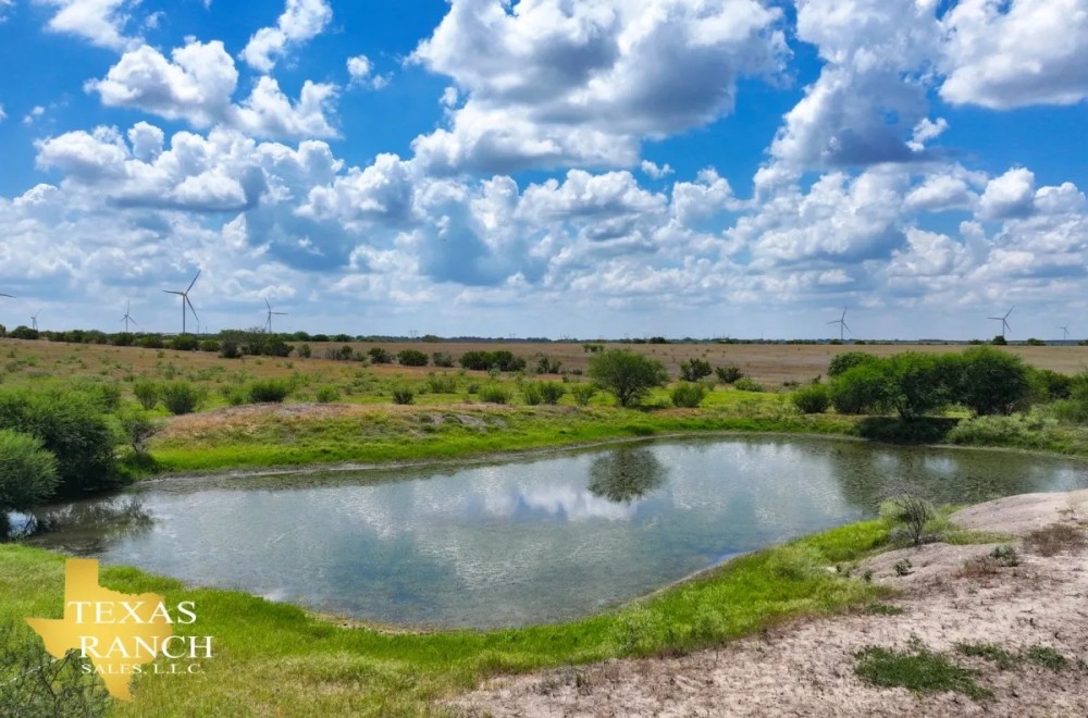 Mesquite Acres Ranch featured image