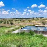 Mesquite Acres Ranch images 5