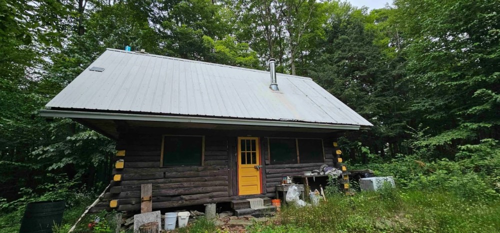 Cabin and Barn on 16 acres of Hunting and Recreational Land in Caroline NY Downey Rd featured image