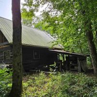 Cabin and Barn on 16 acres of Hunting and Recreational Land in Caroline NY Downey Rd images 3