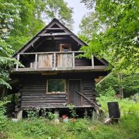 Cabin and Barn on 16 acres of Hunting and Recreational Land in Caroline NY Downey Rd images 4
