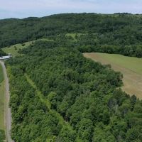 174 acre Farm and Recreational Property in Avoca NY 9916 County Road 9 images 3