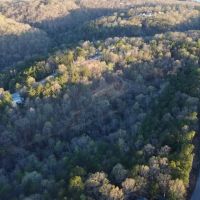 Wooded Oasis Near Beaver Lake images 2