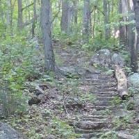 Sandhill State WMA - 9,150 Acres for Hunting Deer in Wood, WI images 4